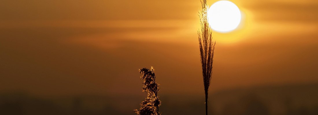 Reflection and Happiness